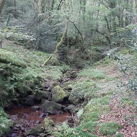 بيت ريفي La Casa De Maestros *