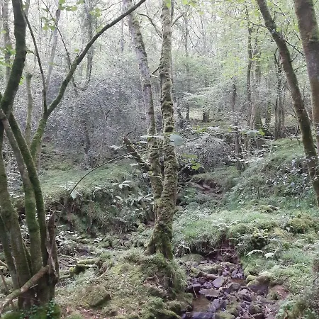 La Casa De Maestros *