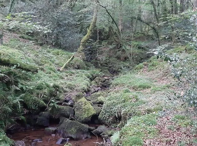 Inn La Casa De Maestros *