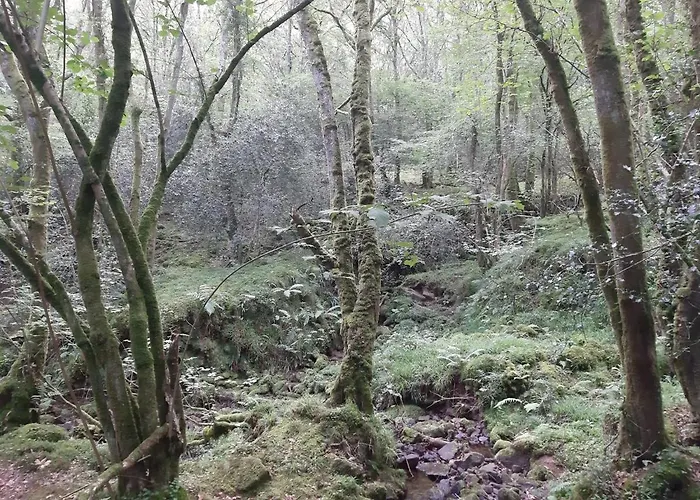 La Casa De Maestros *