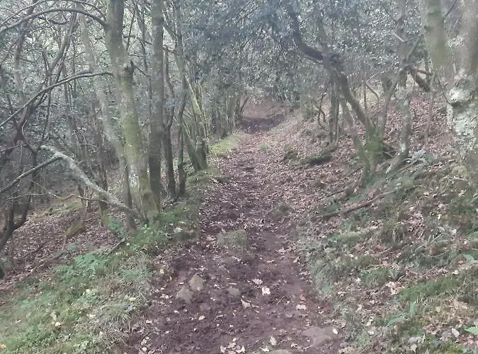 Inn La Casa De Maestros Coo